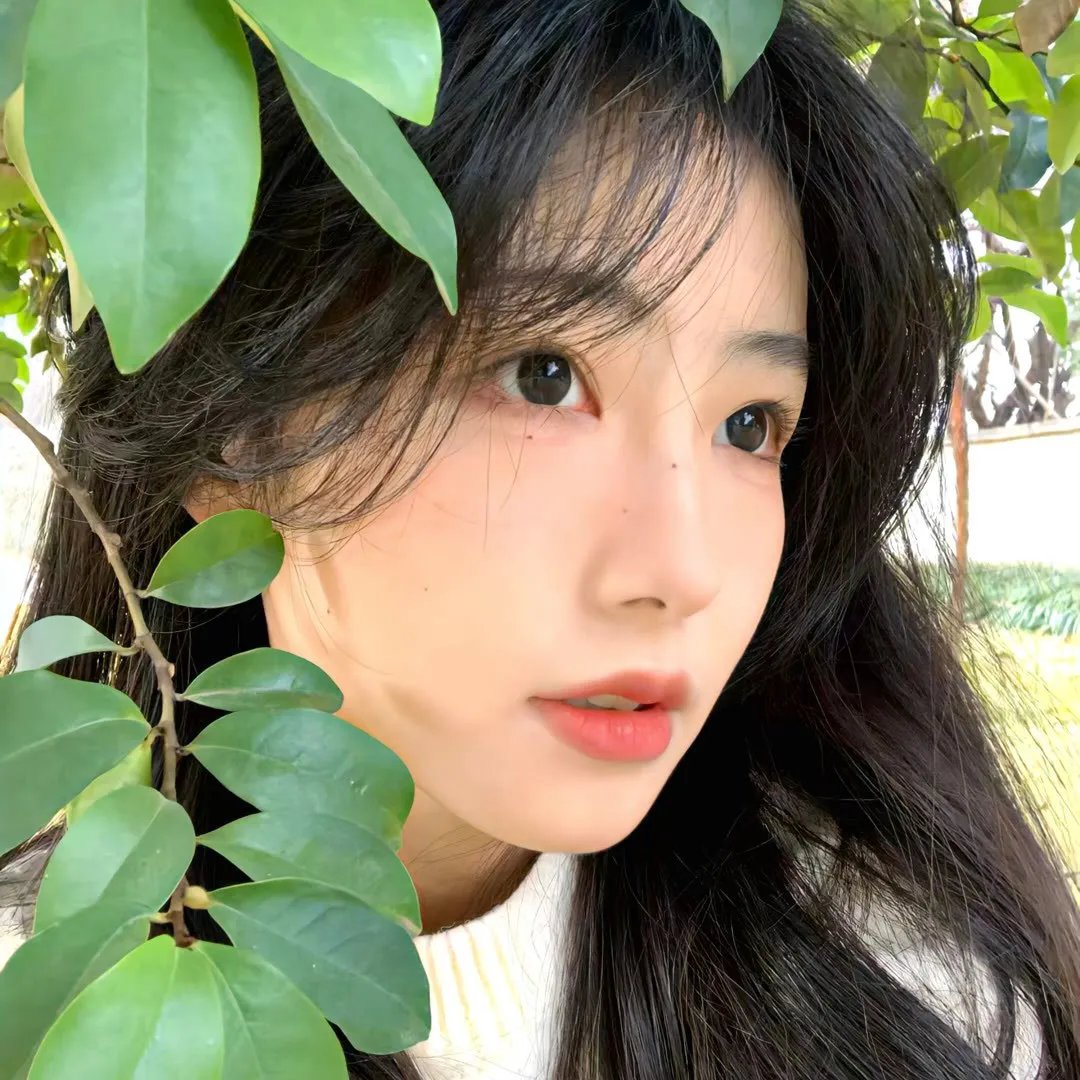 纽约遇到爱