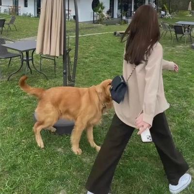 晴～综合商社之女～